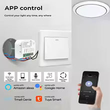 Tuya Zigbee3.0 Smart Switch 1/2 Gang Domotica Timerrelais met KWh Power Monitor Smart Leven APP Voice voor Alexa Google